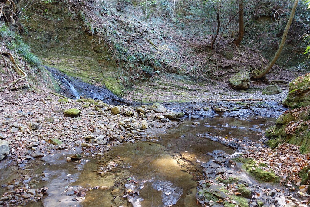 f:id:Kakuremino:20210104161140j:image