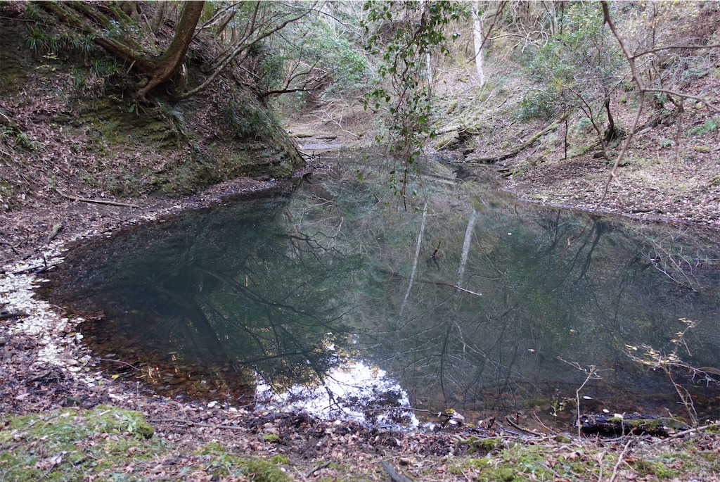 f:id:Kakuremino:20210104161235j:image