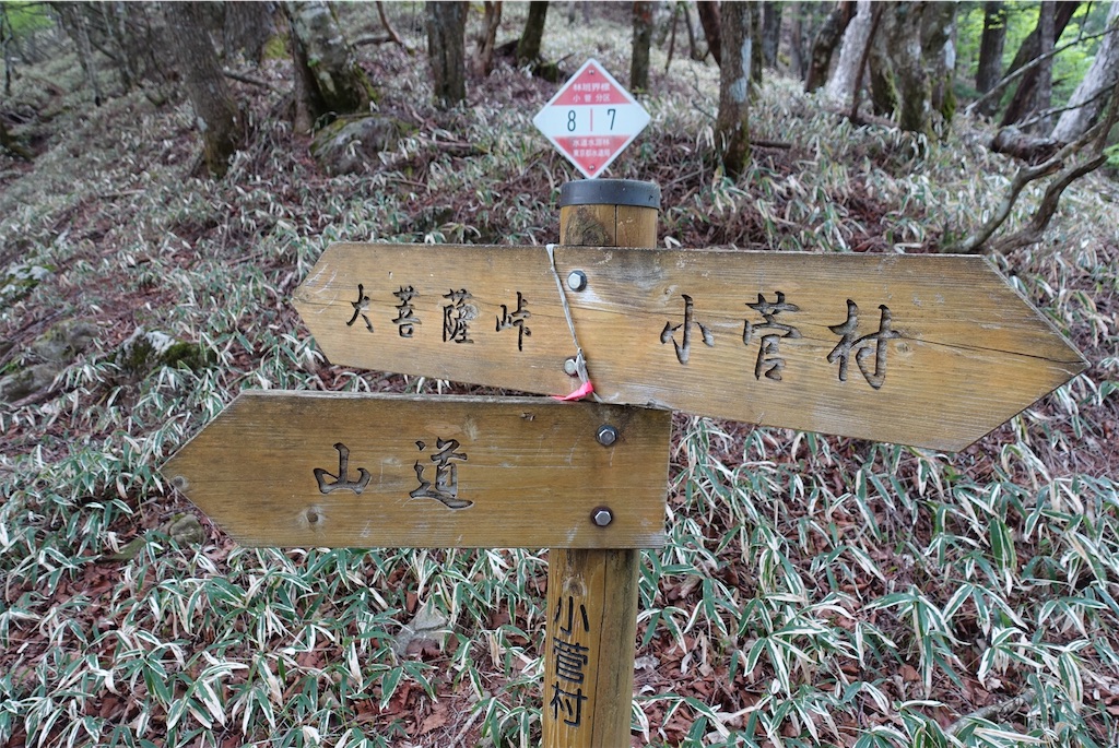f:id:Kakuremino:20210530224328j:image f:id:Kakuremino:20210530224328j:image