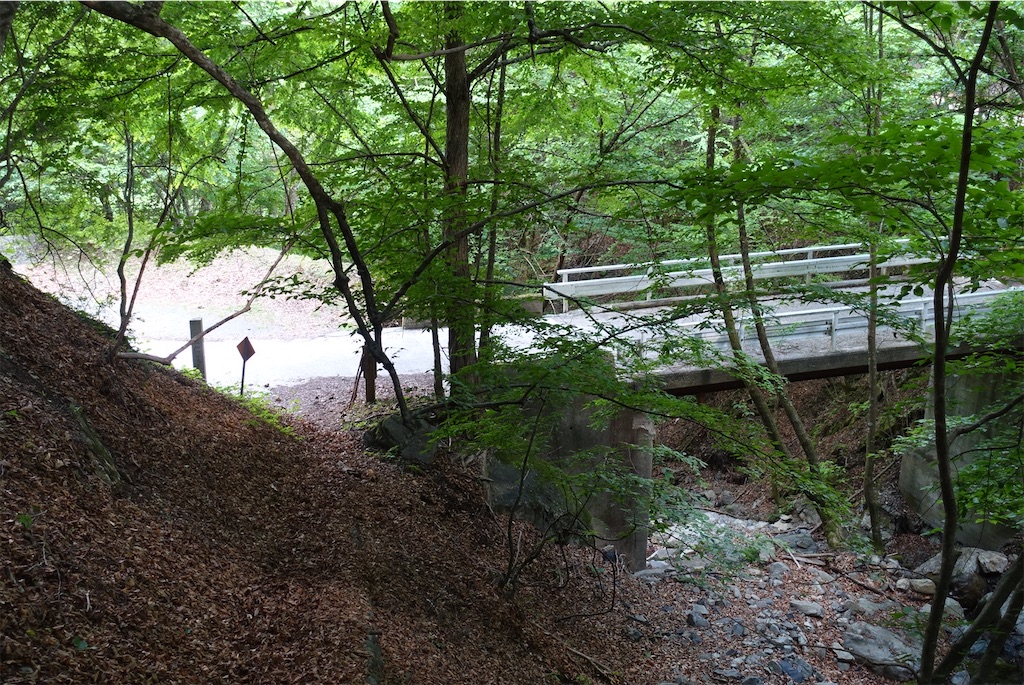 f:id:Kakuremino:20210530224720j:image f:id:Kakuremino:20210530224720j:image