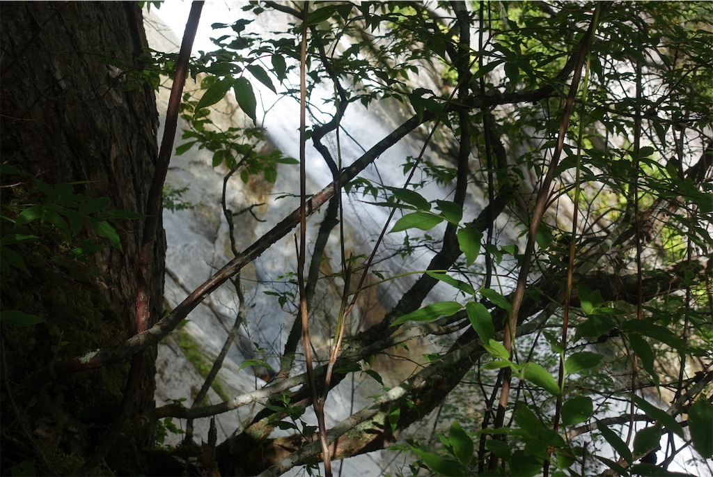 f:id:Kakuremino:20210726194819j:image