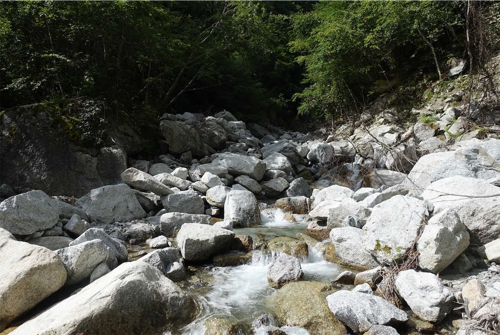 f:id:Kakuremino:20210726200602j:image