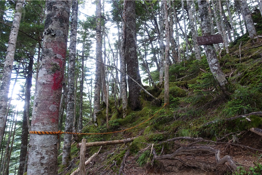 f:id:Kakuremino:20210726211114j:image