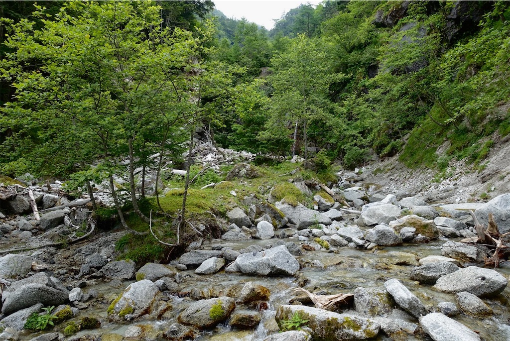 f:id:Kakuremino:20210726211140j:image