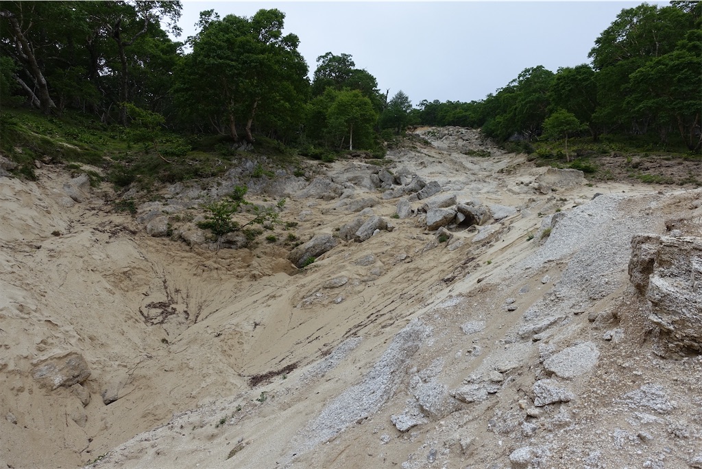 f:id:Kakuremino:20210726212508j:image