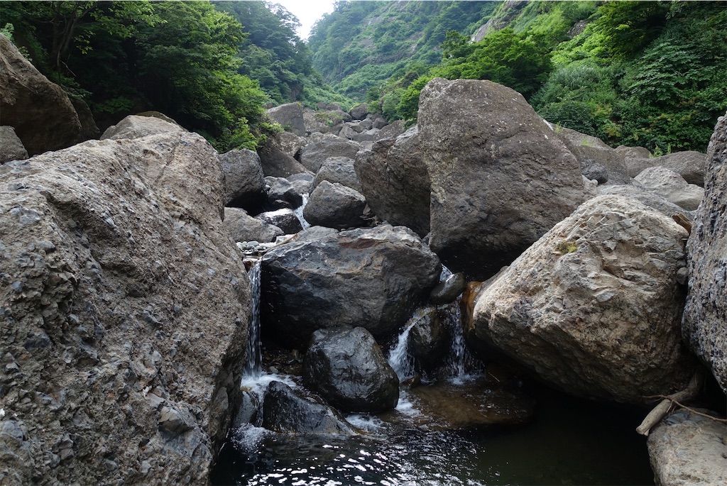 f:id:Kakuremino:20210812141503j:plain