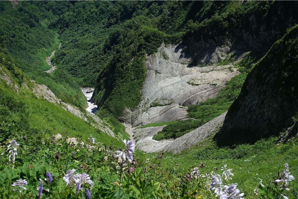 f:id:Kakuremino:20210812141534j:plain