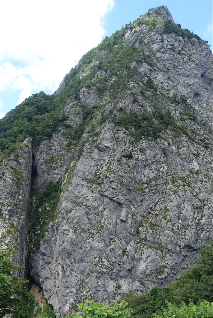 f:id:Kakuremino:20210812141545j:plain