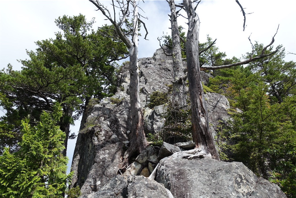 f:id:Kakuremino:20210820235905j:image