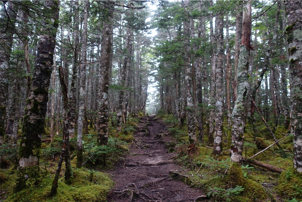 f:id:Kakuremino:20210820235909j:image