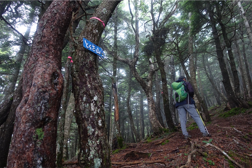 f:id:Kakuremino:20210820235912j:image