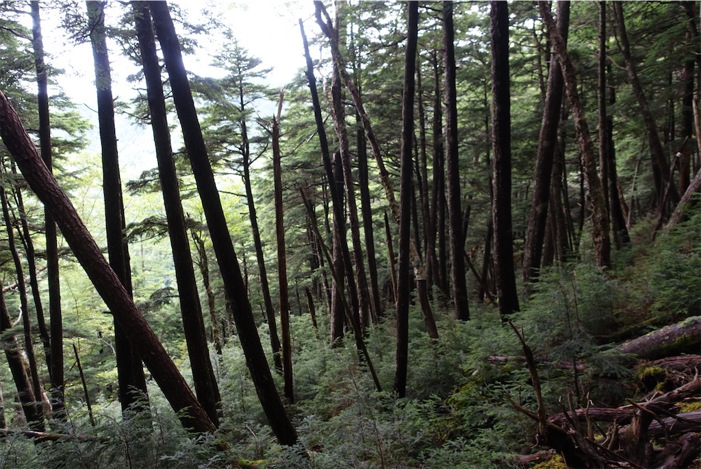 f:id:Kakuremino:20210820235920j:image