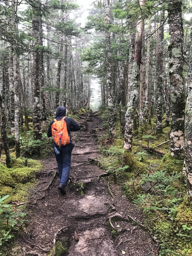 f:id:Kakuremino:20210824001812j:plain