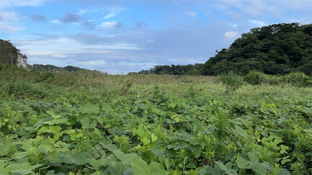 f:id:Kakuremino:20210908232109j:image