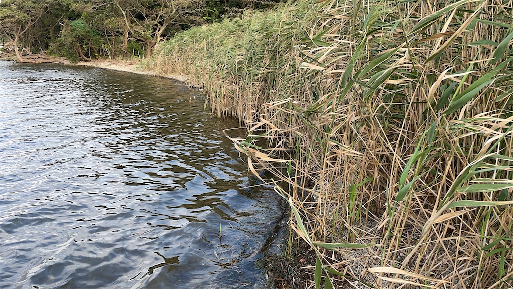 f:id:Kakuremino:20210908232119j:image