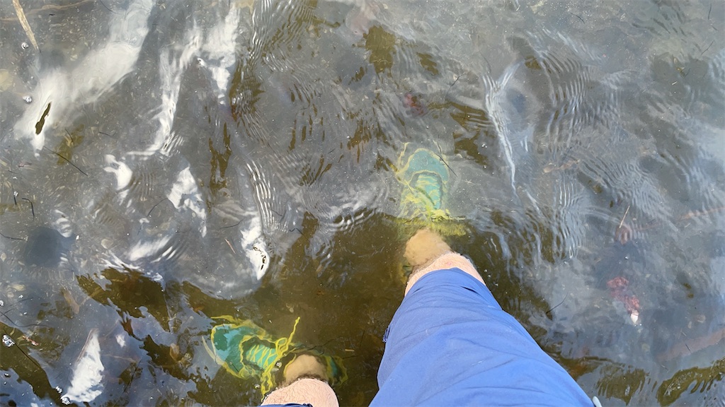 f:id:Kakuremino:20210908232121j:image