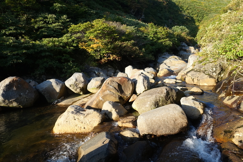f:id:Kakuremino:20210929191515j:plain