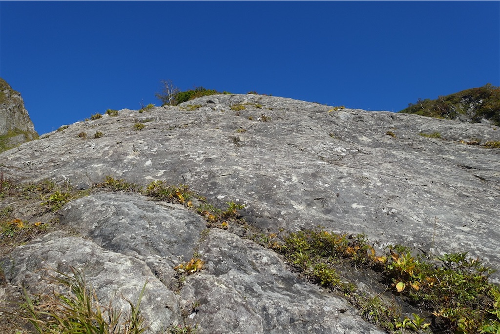 f:id:Kakuremino:20211006222747j:image f:id:Kakuremino:20211006222747j:image