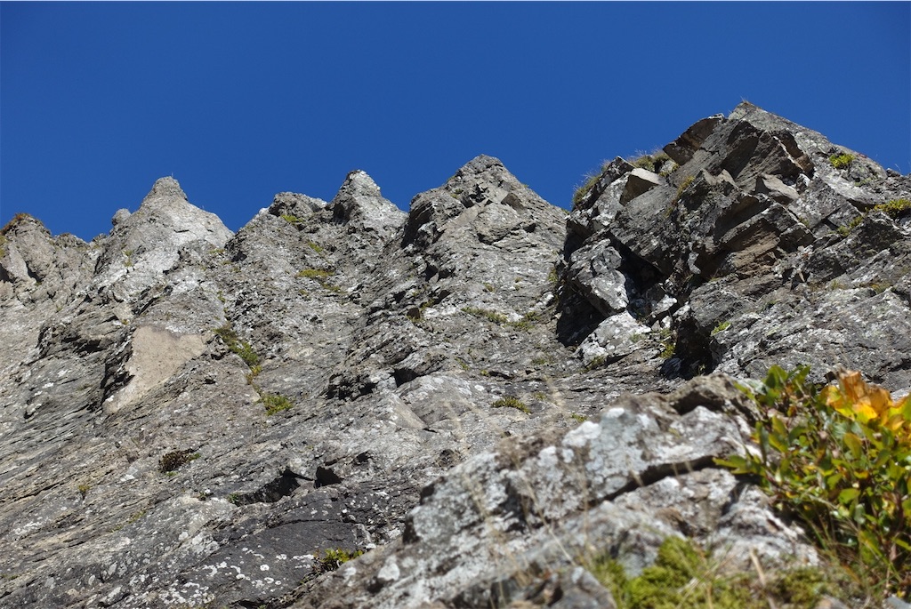 f:id:Kakuremino:20211006222755j:plain