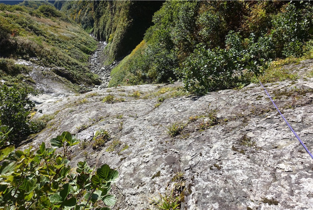 f:id:Kakuremino:20211006222758j:image f:id:Kakuremino:20211006222758j:image