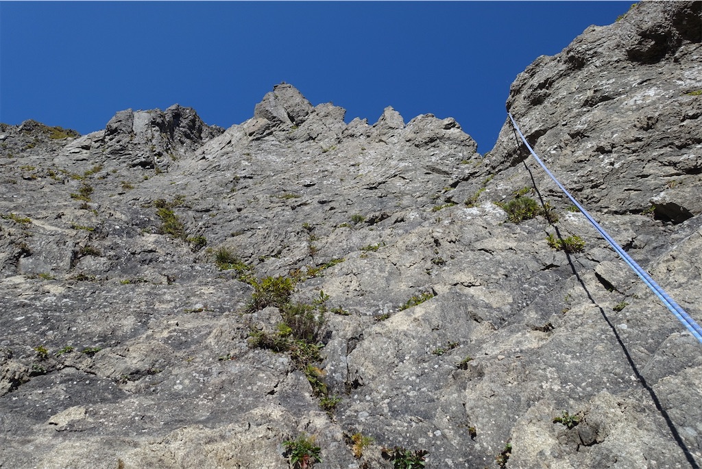 f:id:Kakuremino:20211006222844j:plain