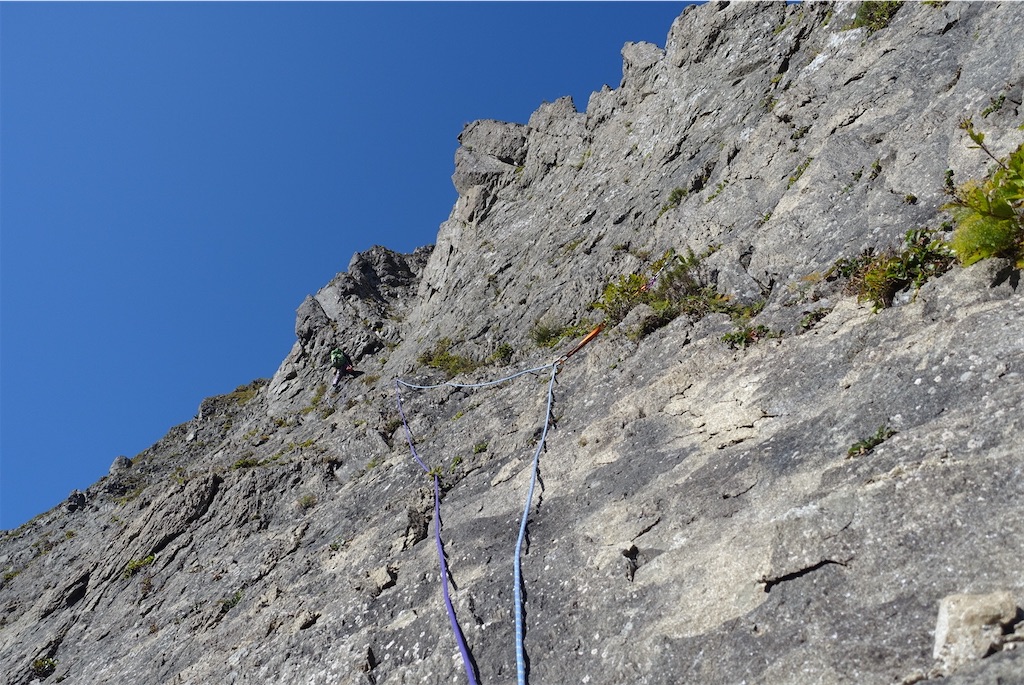 f:id:Kakuremino:20211007233050j:image f:id:Kakuremino:20211007233050j:image