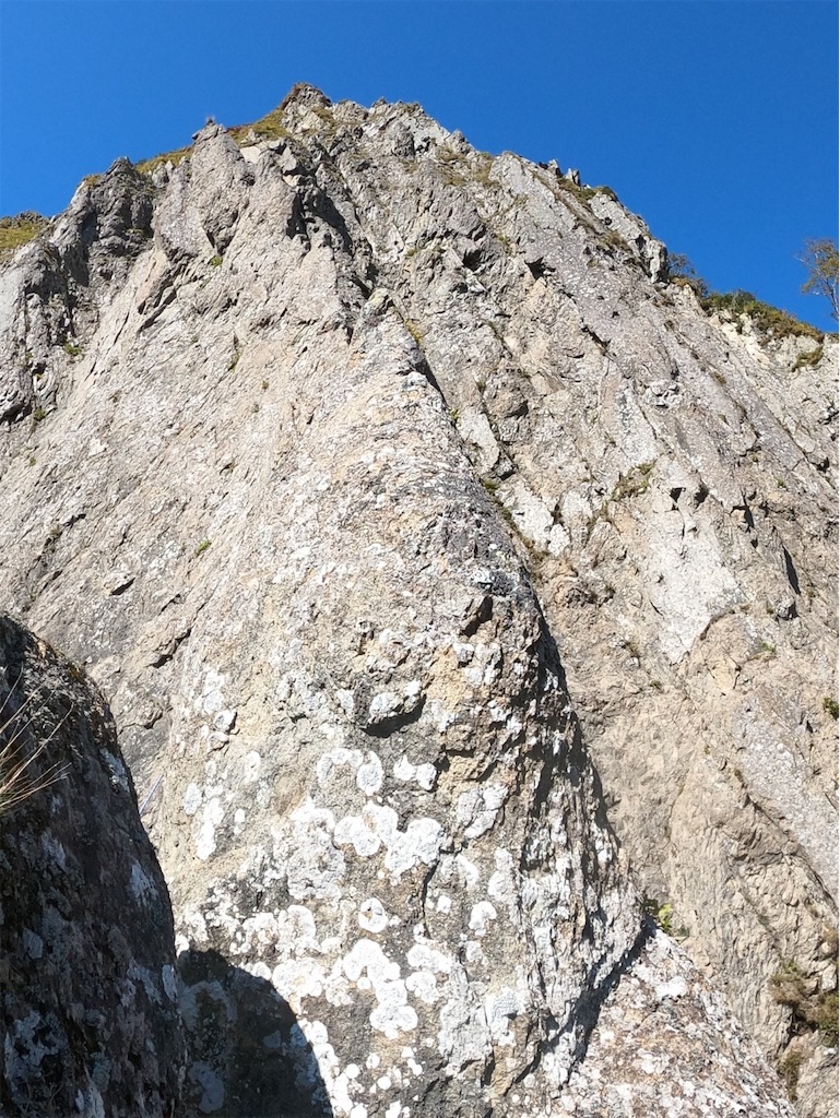 f:id:Kakuremino:20211014224000j:image f:id:Kakuremino:20211014224000j:image