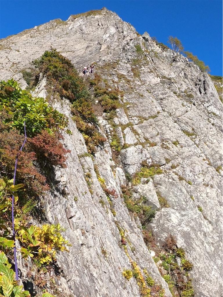 f:id:Kakuremino:20211014224327j:image f:id:Kakuremino:20211014224327j:image