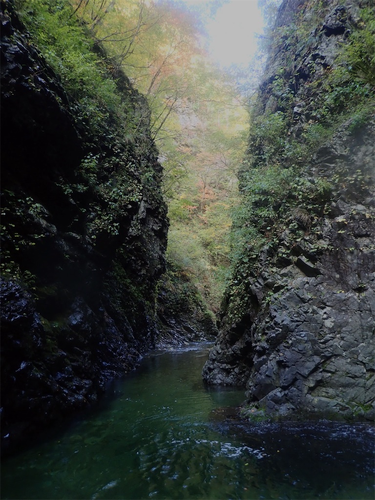 f:id:Kakuremino:20211101211050j:image