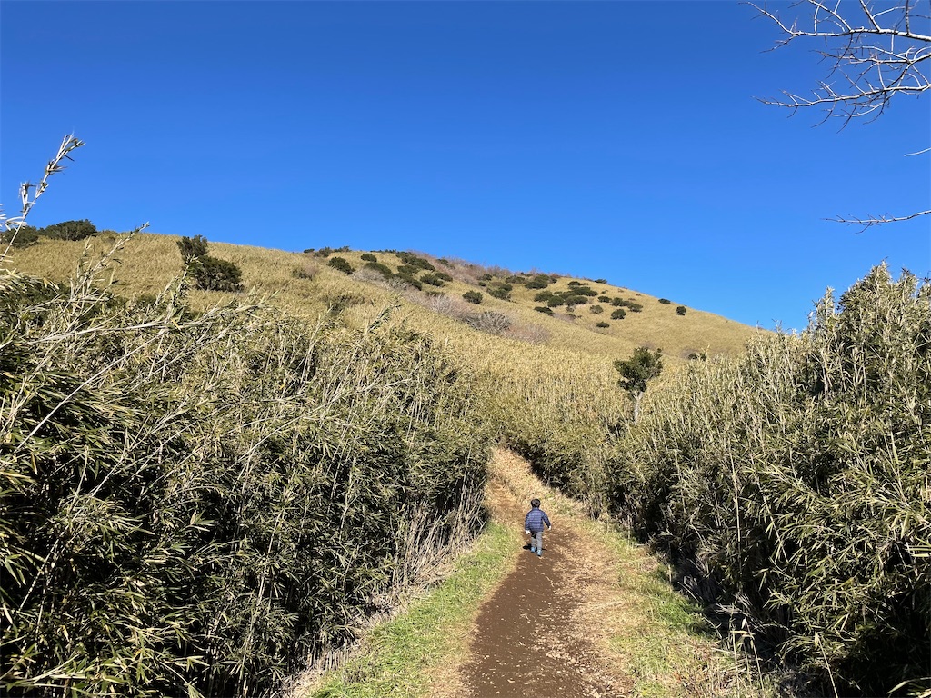 f:id:Kakuremino:20211204144648j:image f:id:Kakuremino:20211204144648j:image