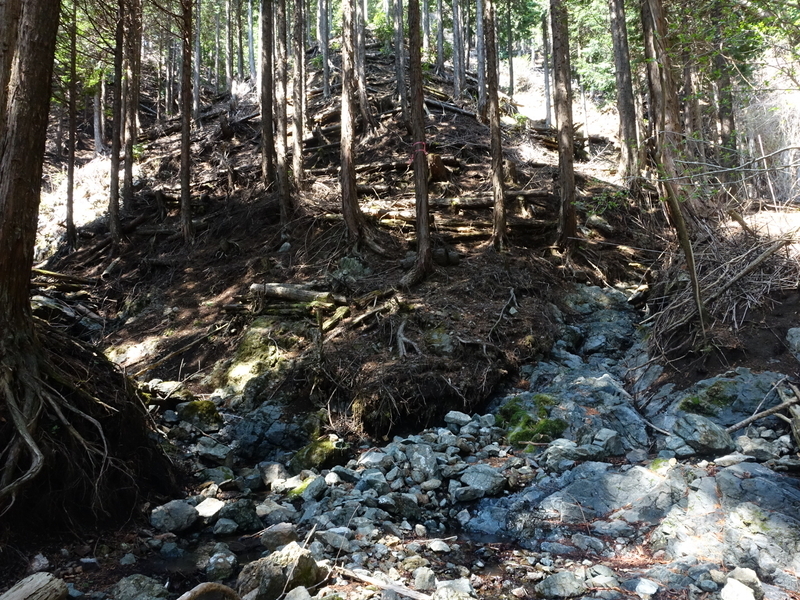 f:id:Kakuremino:20220410214358j:plain