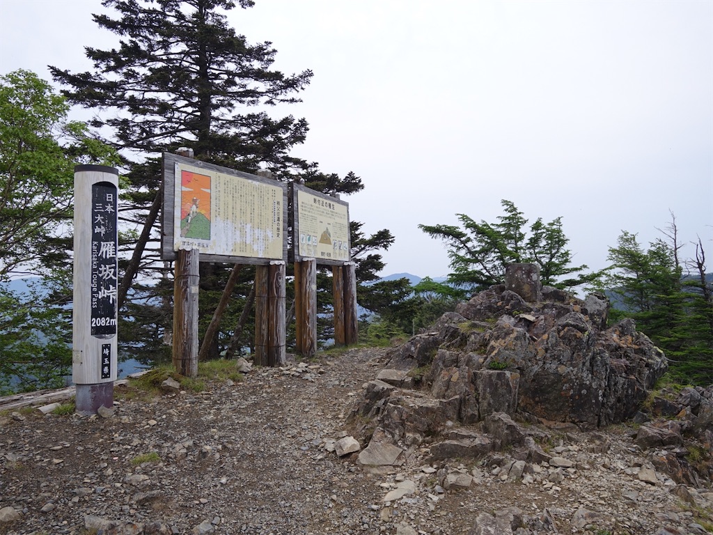 f:id:Kakuremino:20220619225301j:image f:id:Kakuremino:20220619225301j:image