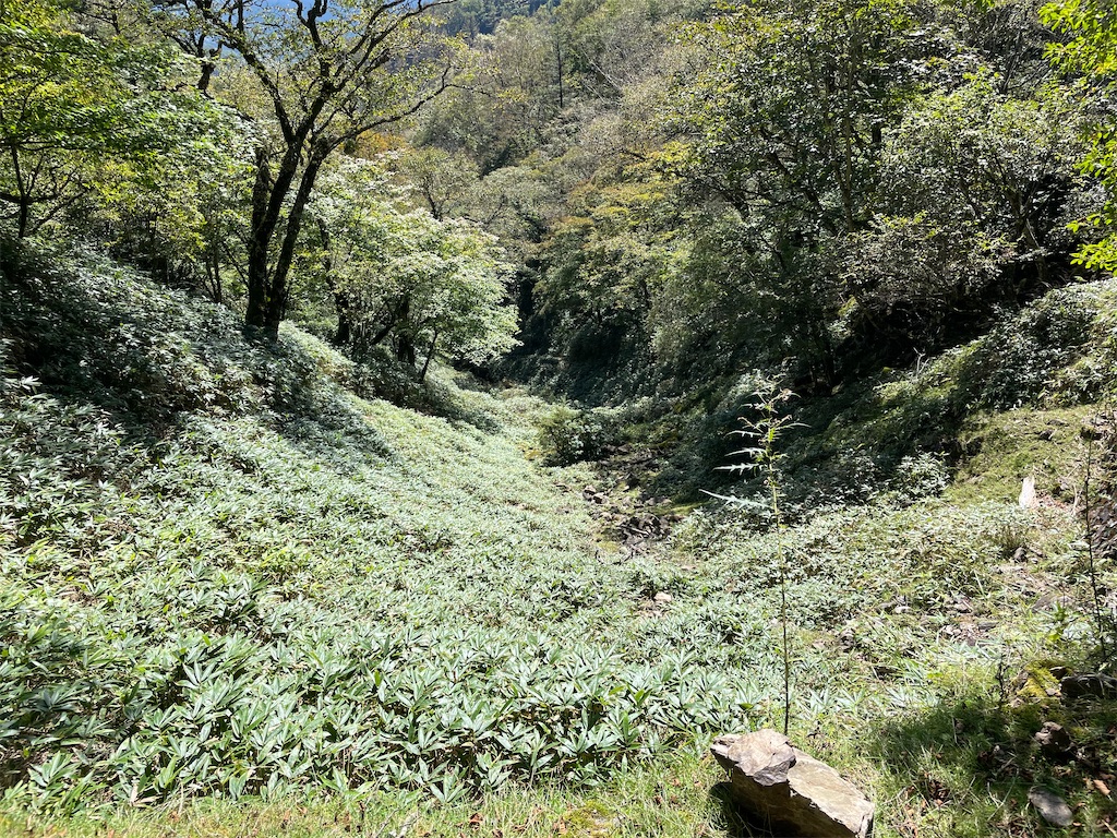 f:id:Kakuremino:20221002212124j:image