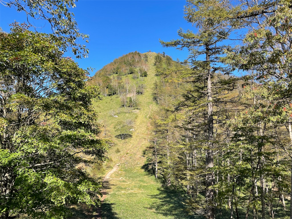 f:id:Kakuremino:20221002212141j:image