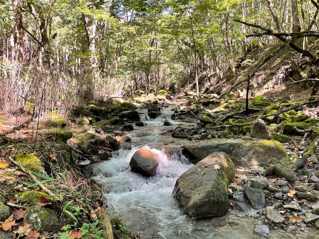 f:id:Kakuremino:20221002212216j:image