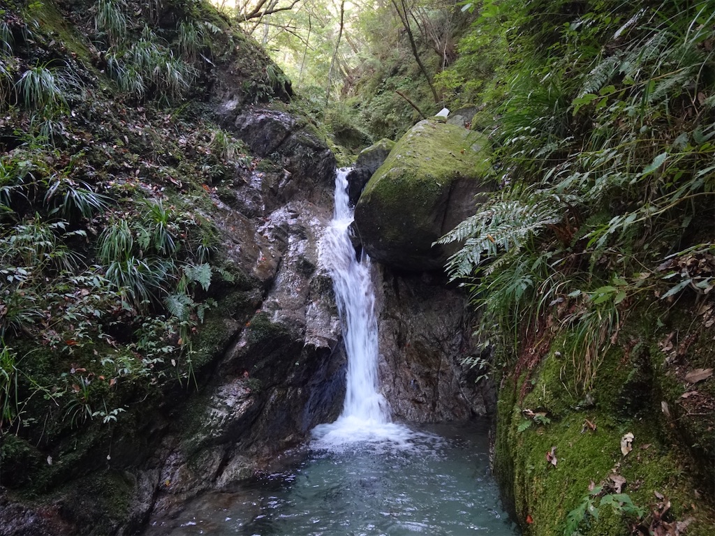 f:id:Kakuremino:20221029134621j:image f:id:Kakuremino:20221029134621j:image