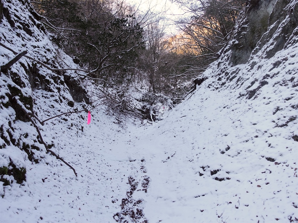 f:id:Kakuremino:20230130143231j:image