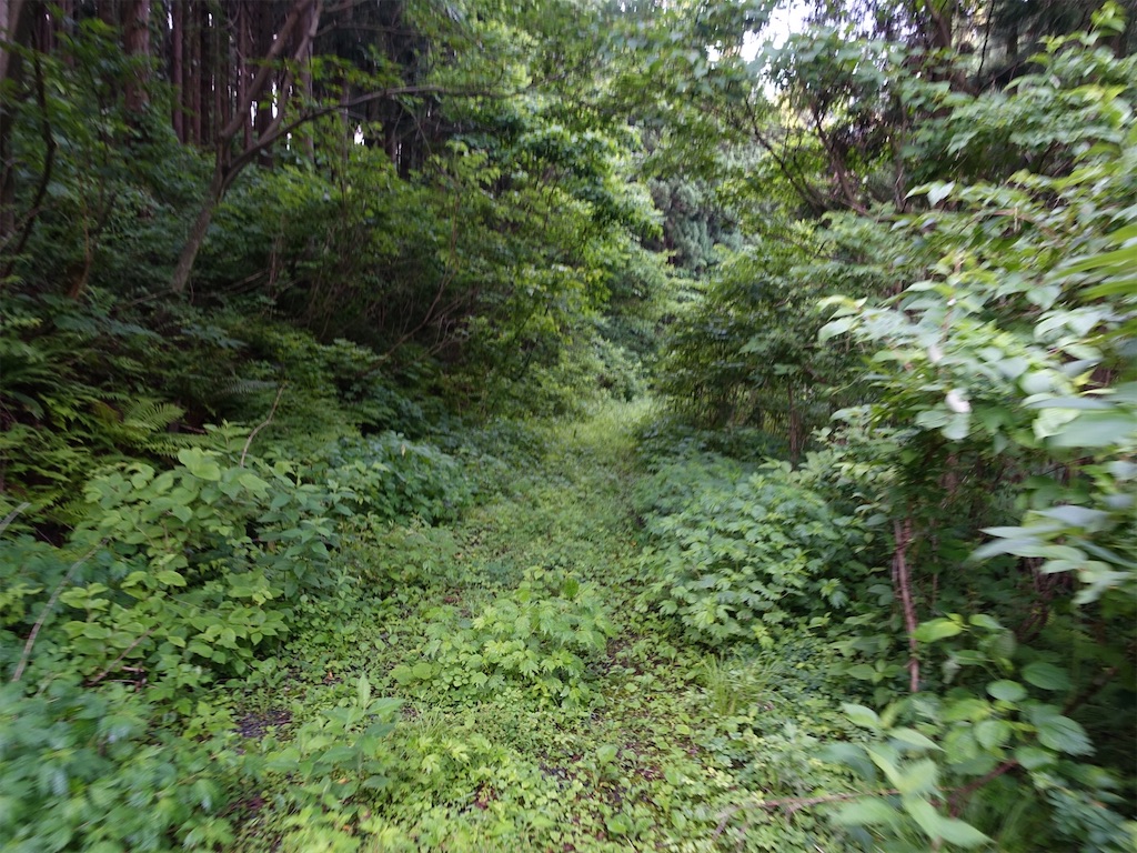 f:id:Kakuremino:20230613020137j:image f:id:Kakuremino:20230613020137j:image