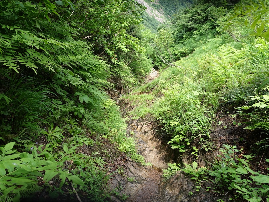 f:id:Kakuremino:20230613020140j:image f:id:Kakuremino:20230613020140j:image