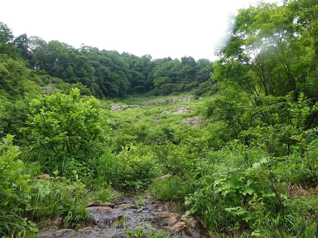 f:id:Kakuremino:20230613020144j:image f:id:Kakuremino:20230613020144j:image