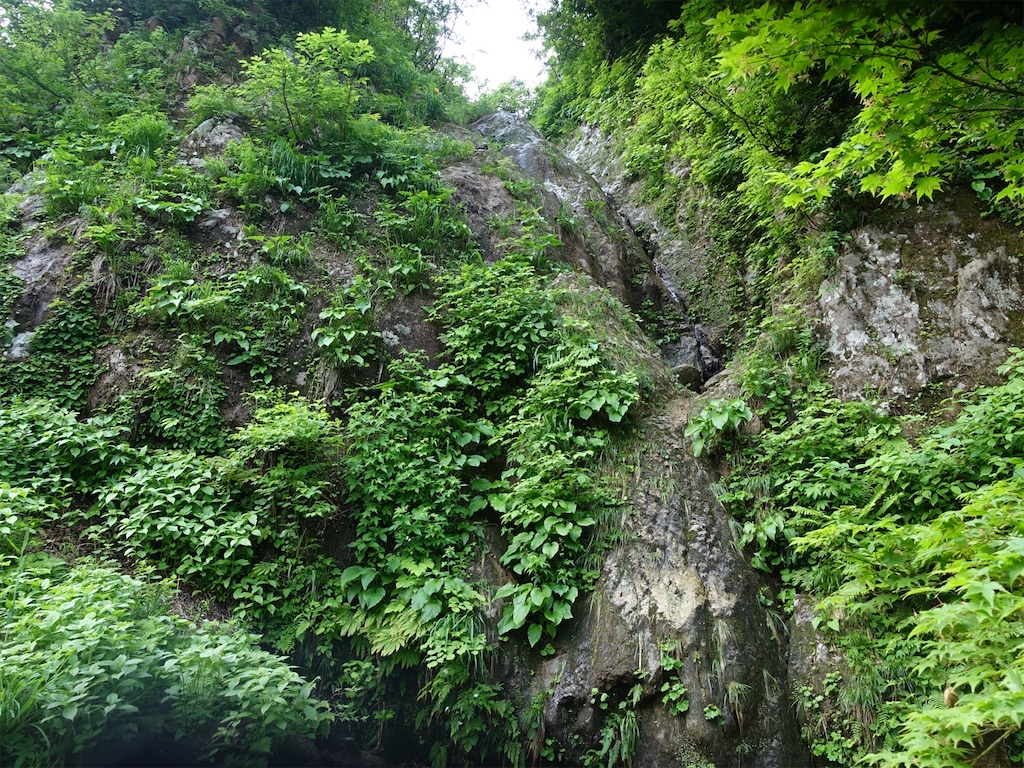 f:id:Kakuremino:20230613020147j:image f:id:Kakuremino:20230613020147j:image