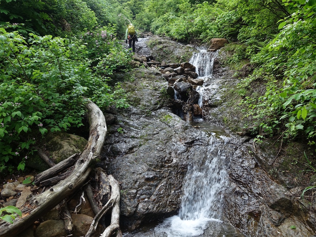 f:id:Kakuremino:20230613020150j:image f:id:Kakuremino:20230613020150j:image