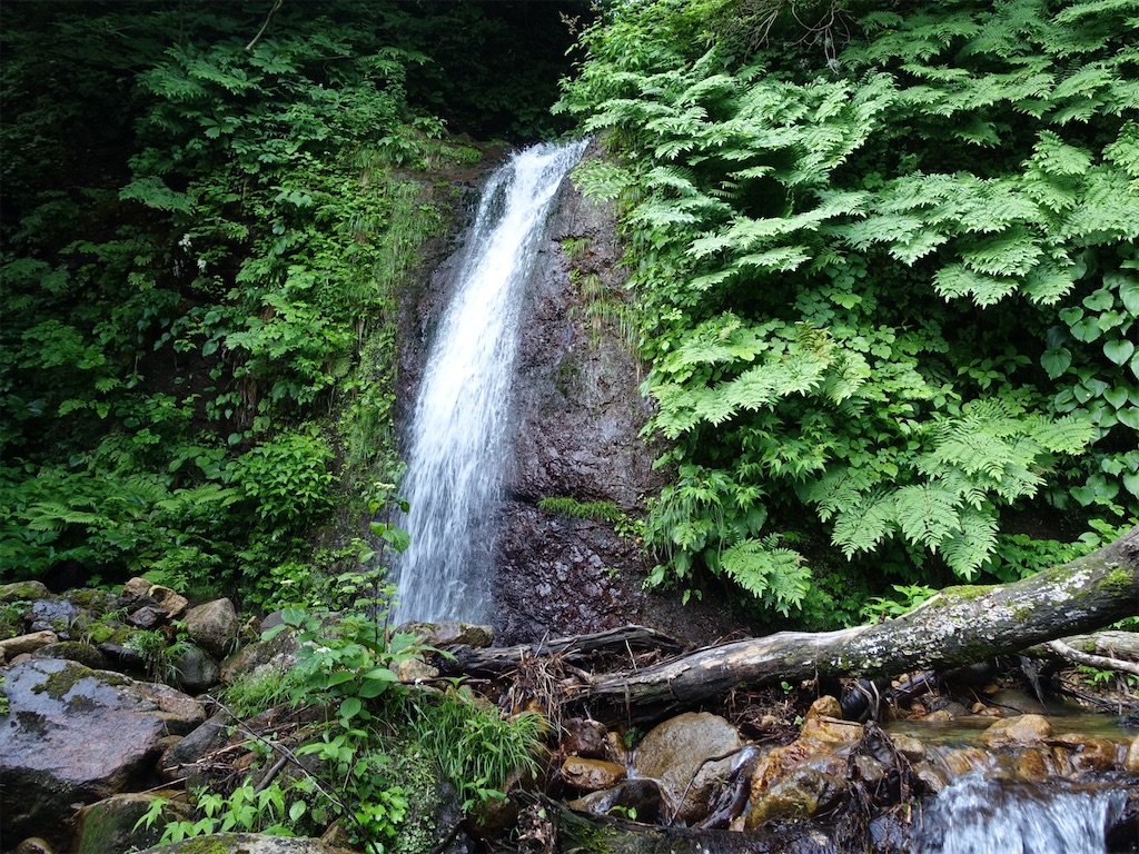 f:id:Kakuremino:20230613020204j:image f:id:Kakuremino:20230613020204j:image