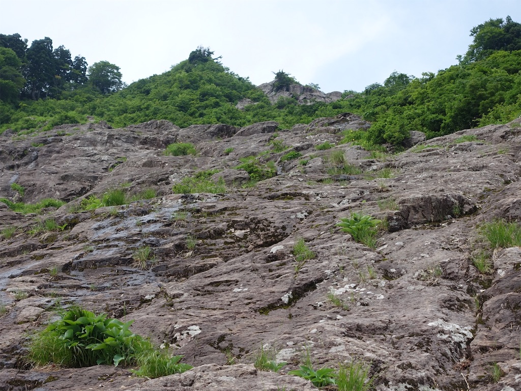 f:id:Kakuremino:20230613020207j:image f:id:Kakuremino:20230613020207j:image