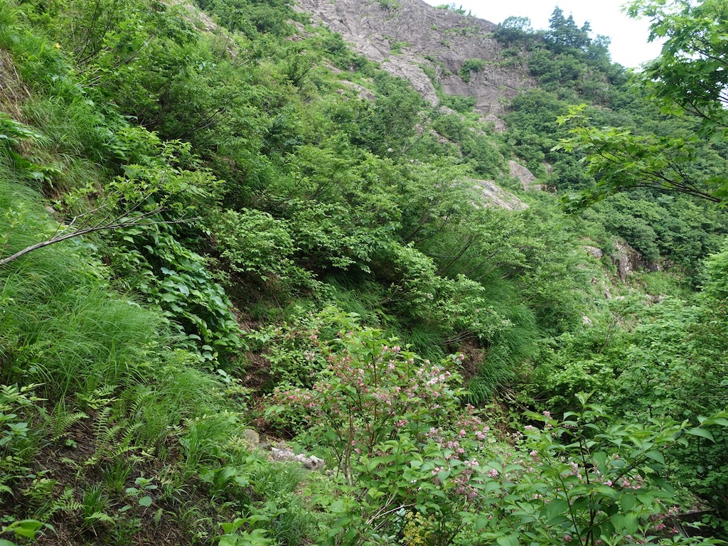 f:id:Kakuremino:20230613020210j:image f:id:Kakuremino:20230613020210j:image