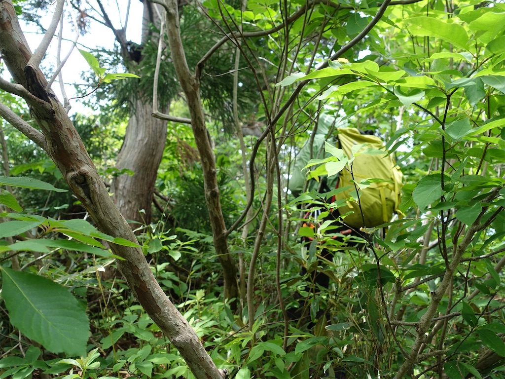 f:id:Kakuremino:20230613020217j:image f:id:Kakuremino:20230613020217j:image