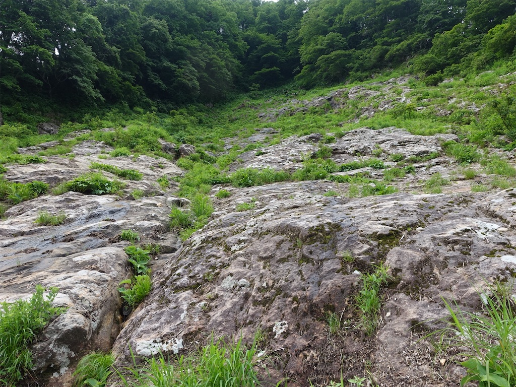 f:id:Kakuremino:20230613020223j:image f:id:Kakuremino:20230613020223j:image