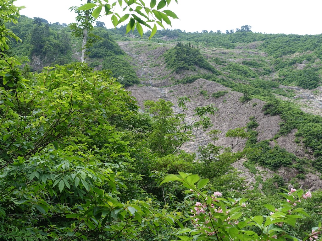 f:id:Kakuremino:20230613020226j:image f:id:Kakuremino:20230613020226j:image