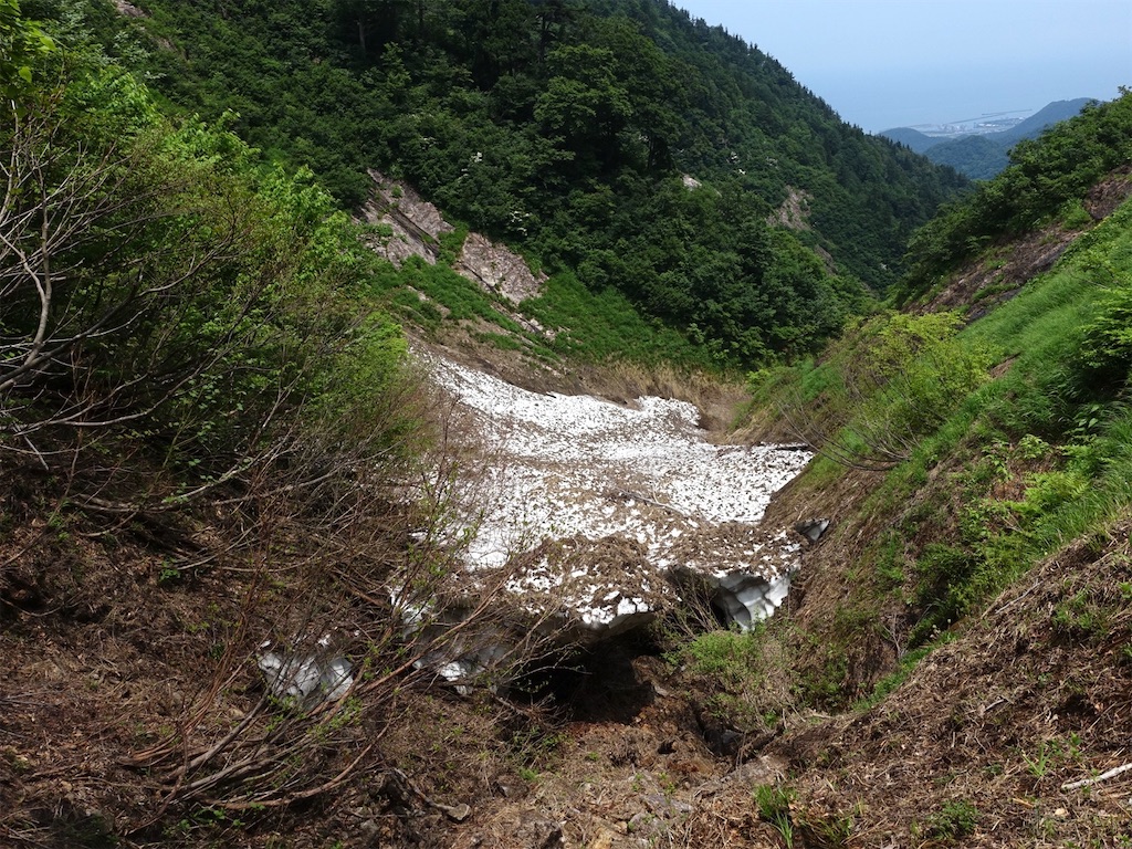 f:id:Kakuremino:20230613020230j:image f:id:Kakuremino:20230613020230j:image