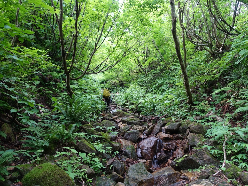 f:id:Kakuremino:20230613020233j:image f:id:Kakuremino:20230613020233j:image